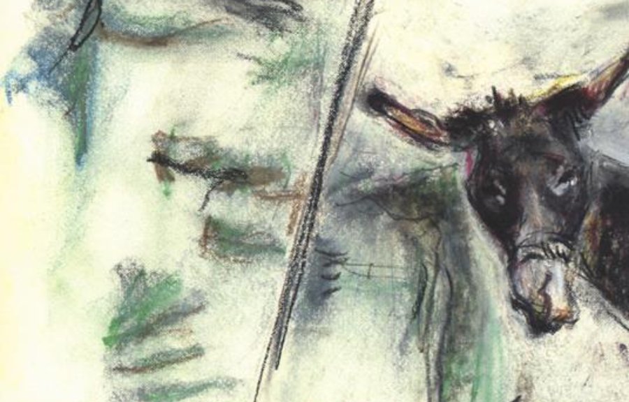 La copertina del libro